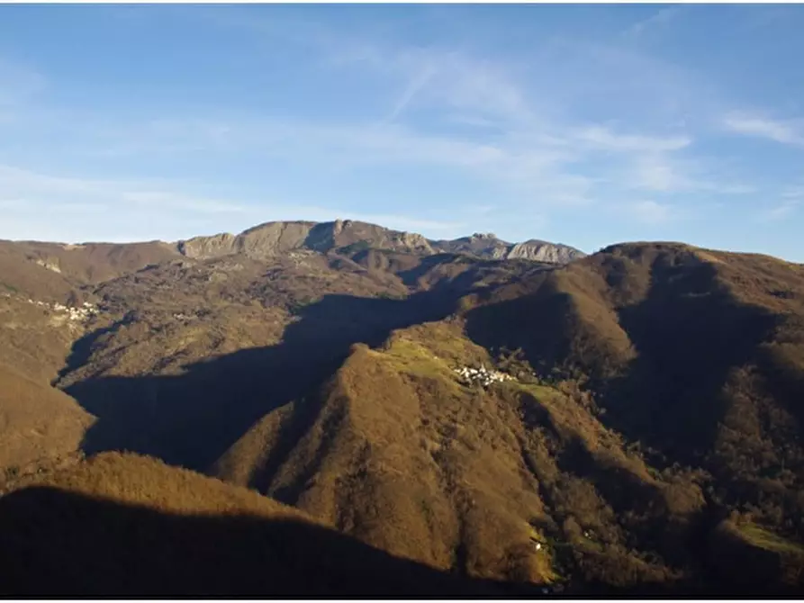 Immagine 10 di Rustico / casale in vendita  in Ascona a Santo Stefano D'aveto