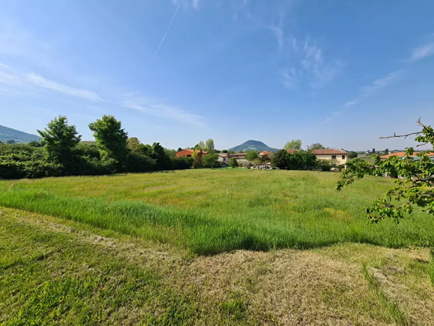 Immagine 2 di Terreno in vendita  in via dei Colli a Vo