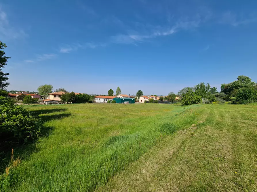 Immagine 4 di Terreno in vendita  in via dei Colli a Vo