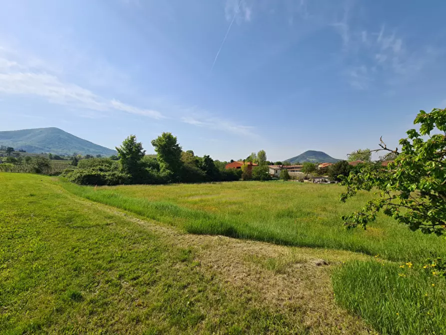 Immagine 5 di Terreno in vendita  in via dei Colli a Vo