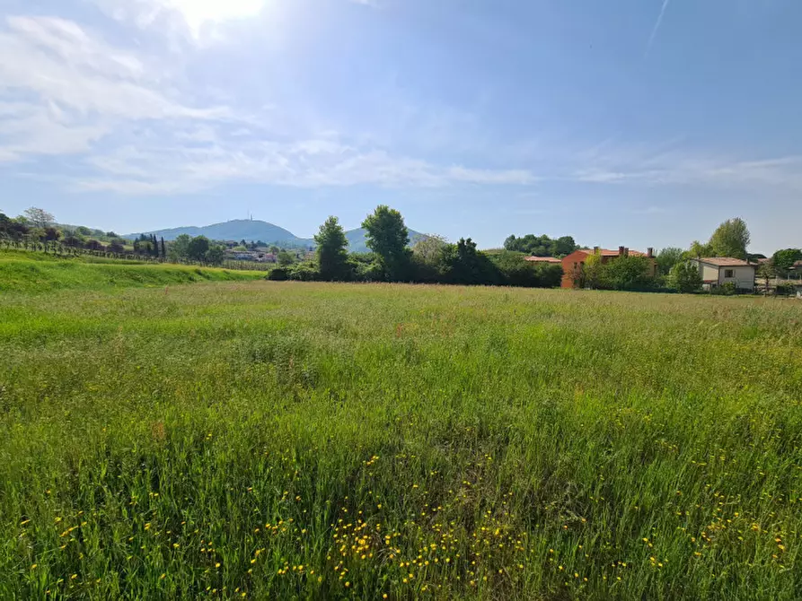 Immagine 6 di Terreno in vendita  in via dei Colli a Vo