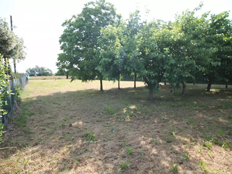 Immagine 3 di Terreno in vendita  in Via Isiata a San Donà Di Piave