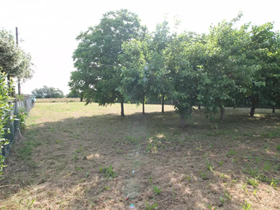 Immagine 4 di Terreno in vendita  in Via Isiata a San Donà Di Piave