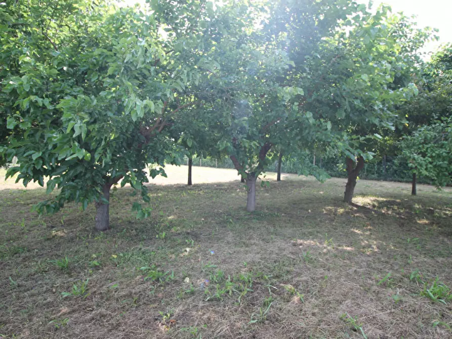 Immagine 5 di Terreno in vendita  in Via Isiata a San Donà Di Piave