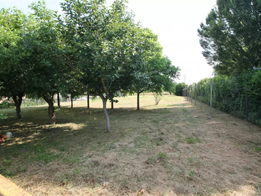 Immagine 6 di Terreno in vendita  in Via Isiata a San Donà Di Piave