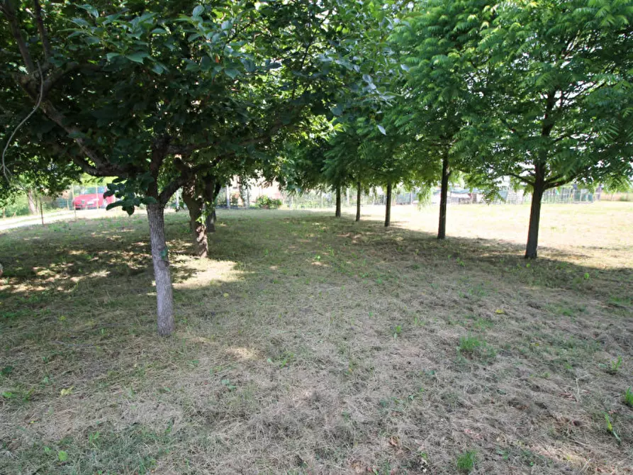Immagine 7 di Terreno in vendita  in Via Isiata a San Donà Di Piave