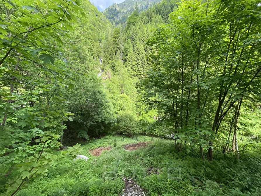 Immagine 22 di Casa indipendente in vendita  in FRAZIONE FERRATE a Alto Sermenza