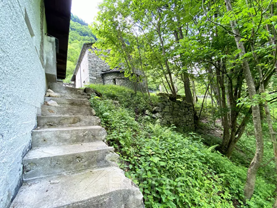 Immagine 23 di Casa indipendente in vendita  in FRAZIONE FERRATE a Alto Sermenza