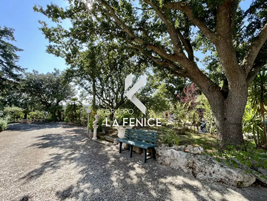 Immagine 5 di Villa in vendita  in viale arsilio 89 a Fasano