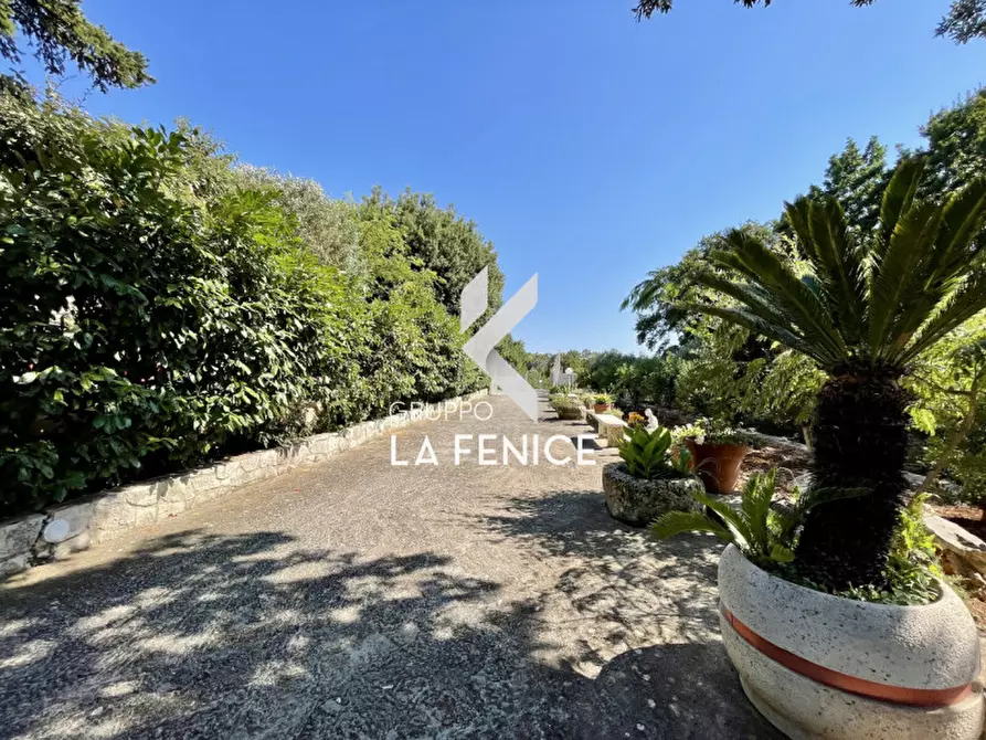 Immagine 9 di Villa in vendita  in viale arsilio 89 a Fasano