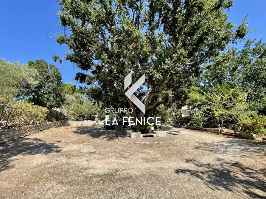 Immagine 14 di Villa in vendita  in viale arsilio 89 a Fasano