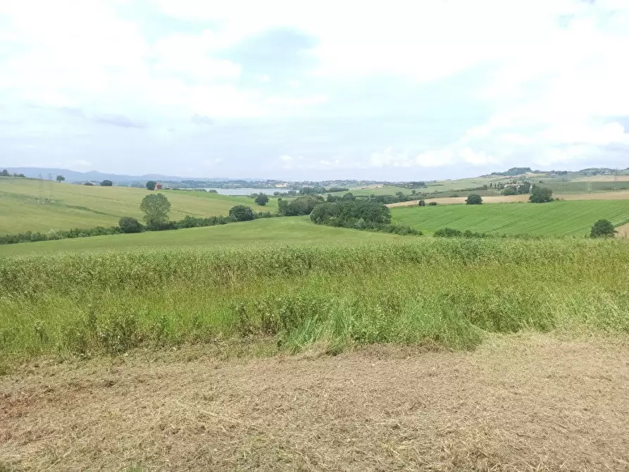 Immagine 11 di Rustico / casale in vendita  a Castiglione Del Lago