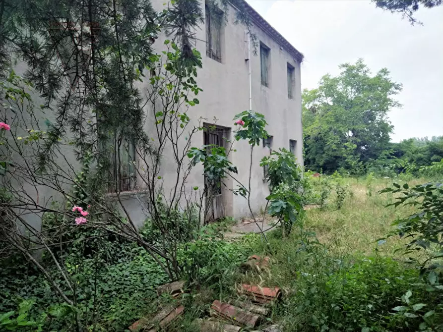 Immagine 4 di Rustico / casale in vendita  a Saonara