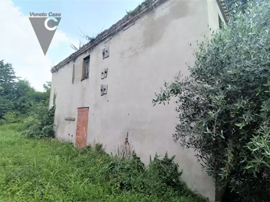 Immagine 5 di Rustico / casale in vendita  a Saonara