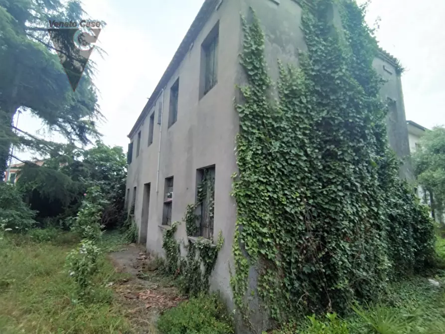 Immagine 6 di Rustico / casale in vendita  a Saonara