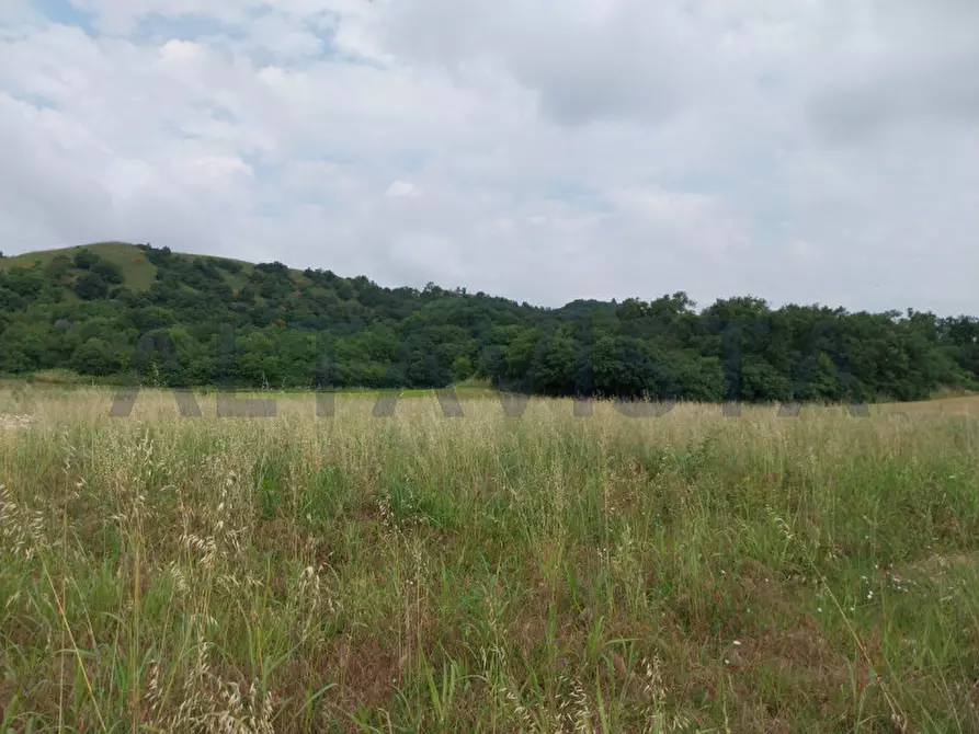 Immagine 10 di Terreno in vendita  in via mantova a Lonato del Garda