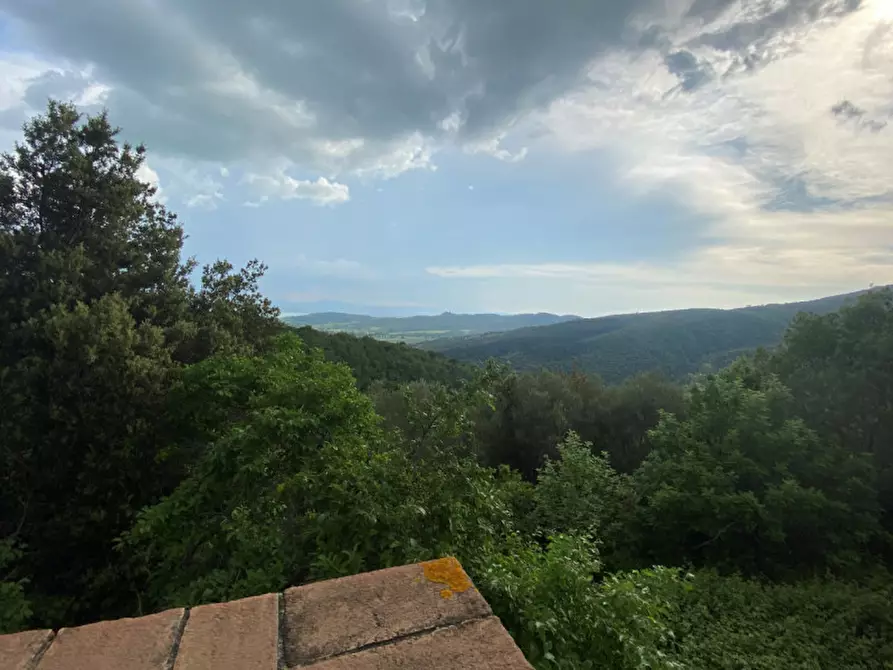 Immagine 20 di Rustico / casale in vendita  a Tuoro Sul Trasimeno