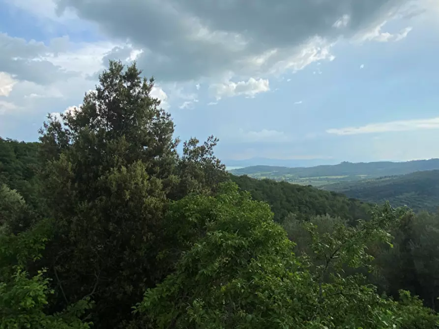Immagine 21 di Rustico / casale in vendita  a Tuoro Sul Trasimeno