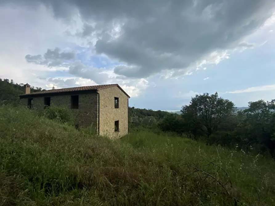 Immagine 31 di Rustico / casale in vendita  a Tuoro Sul Trasimeno