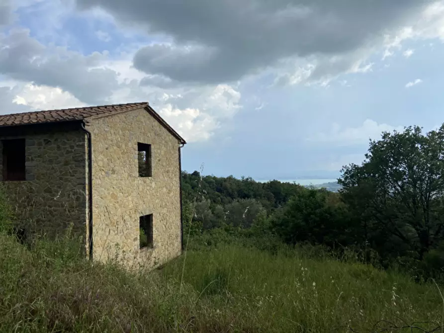 Immagine 32 di Rustico / casale in vendita  a Tuoro Sul Trasimeno