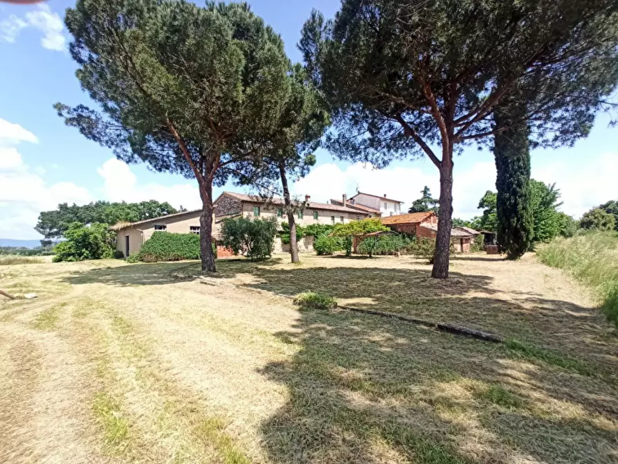 Immagine 23 di Appartamento in vendita  in Piana a Castiglione Del Lago