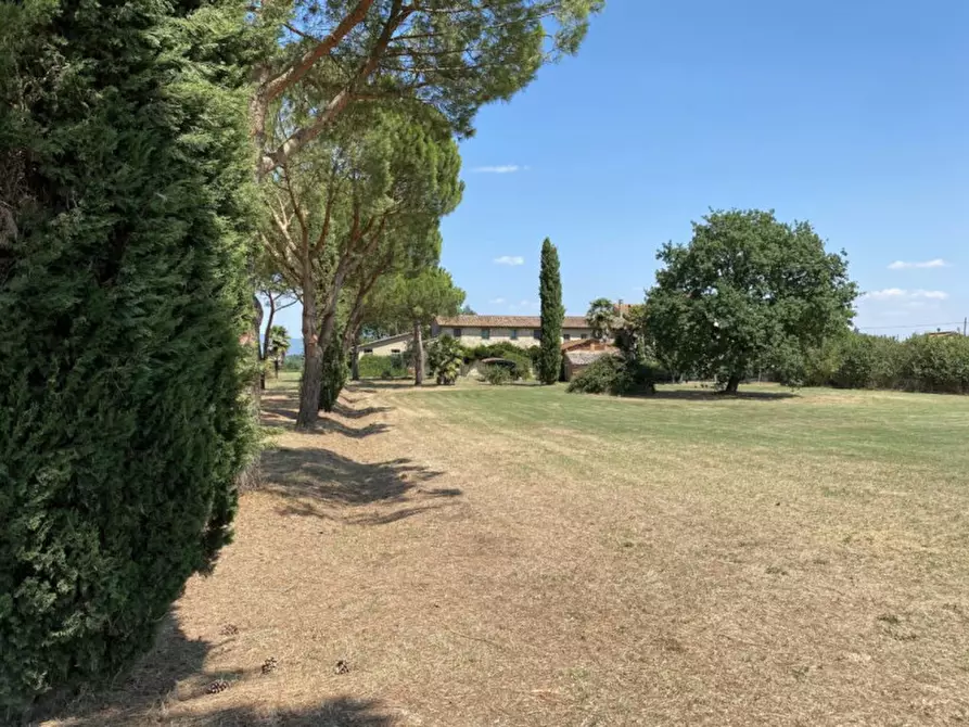 Immagine 24 di Appartamento in vendita  in Piana a Castiglione Del Lago