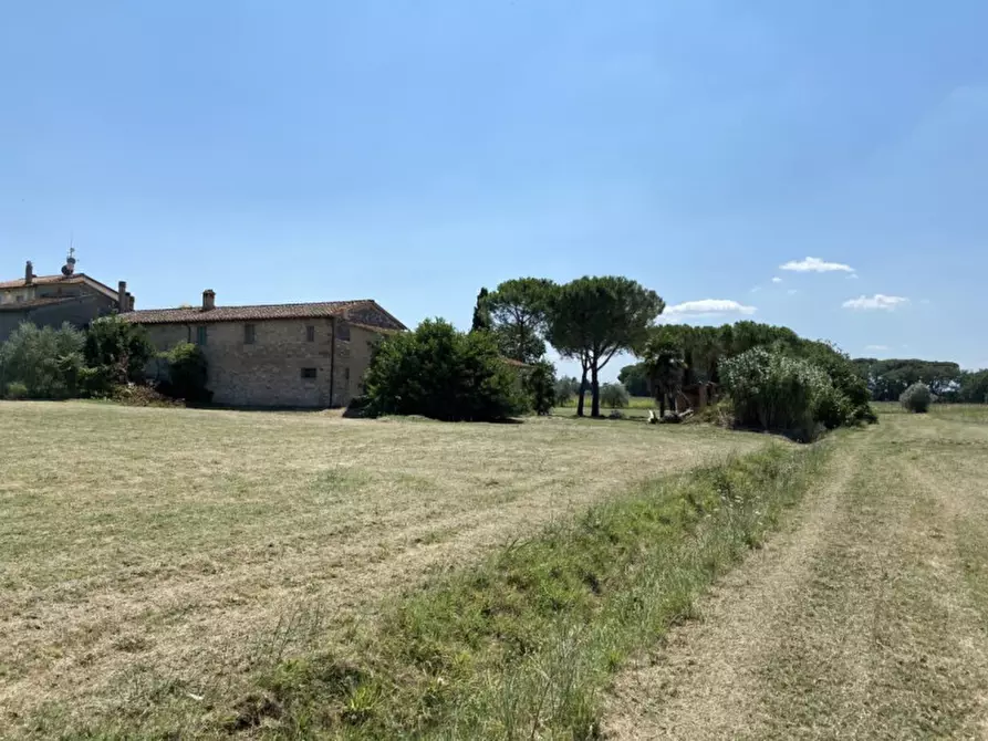 Immagine 25 di Appartamento in vendita  in Piana a Castiglione Del Lago