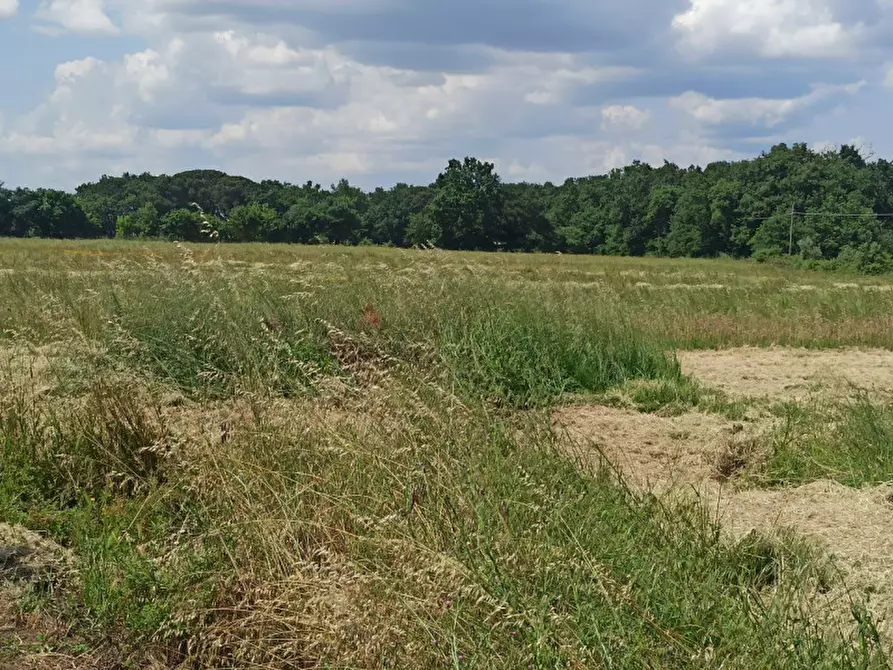 Immagine 29 di Appartamento in vendita  in Piana a Castiglione Del Lago