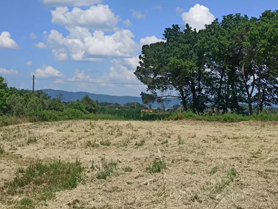 Immagine 30 di Appartamento in vendita  in Piana a Castiglione Del Lago