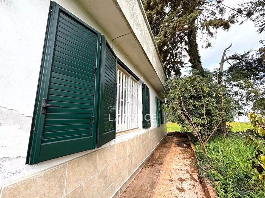 Immagine 13 di Villa in vendita  in strada giuliani, 10 a Martina Franca