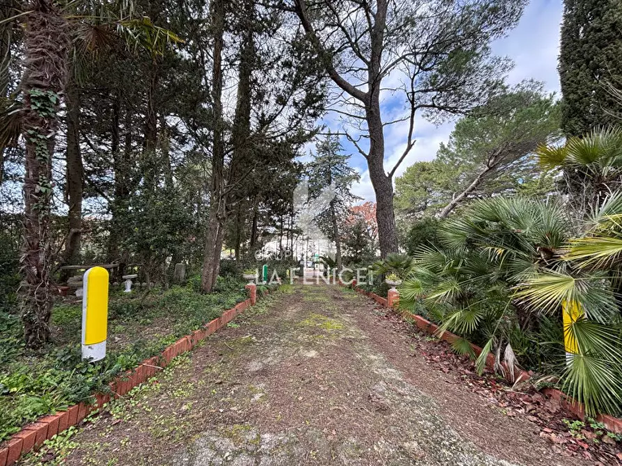 Immagine 35 di Villa in vendita  in strada giuliani, 10 a Martina Franca