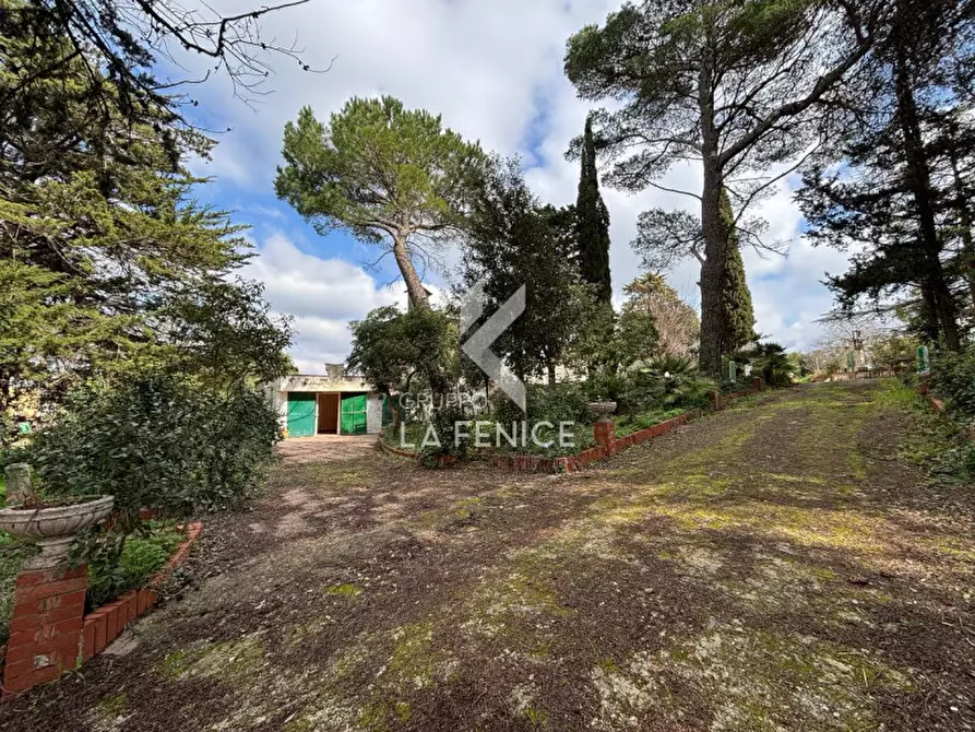 Immagine 36 di Villa in vendita  in strada giuliani, 10 a Martina Franca