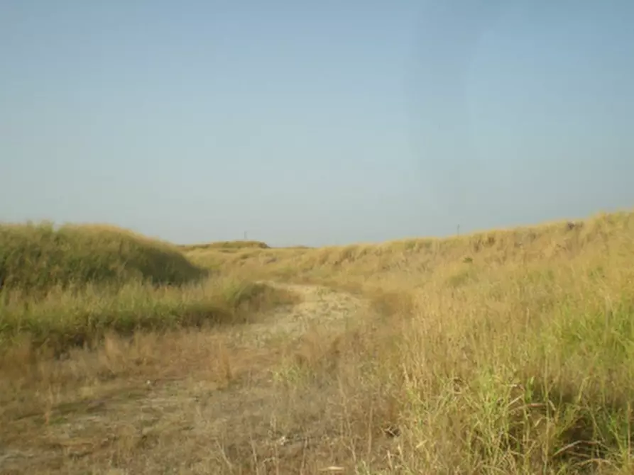 Immagine 7 di Terreno in vendita  in Comparto Edera Curtatone a Curtatone