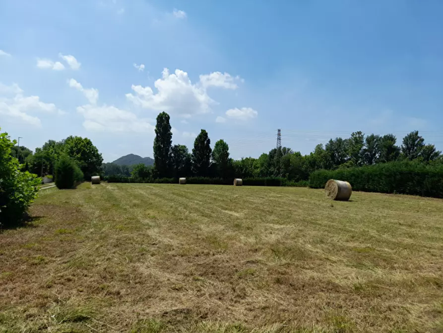 Immagine 2 di Terreno in vendita  in Via San Benedetto a Teolo