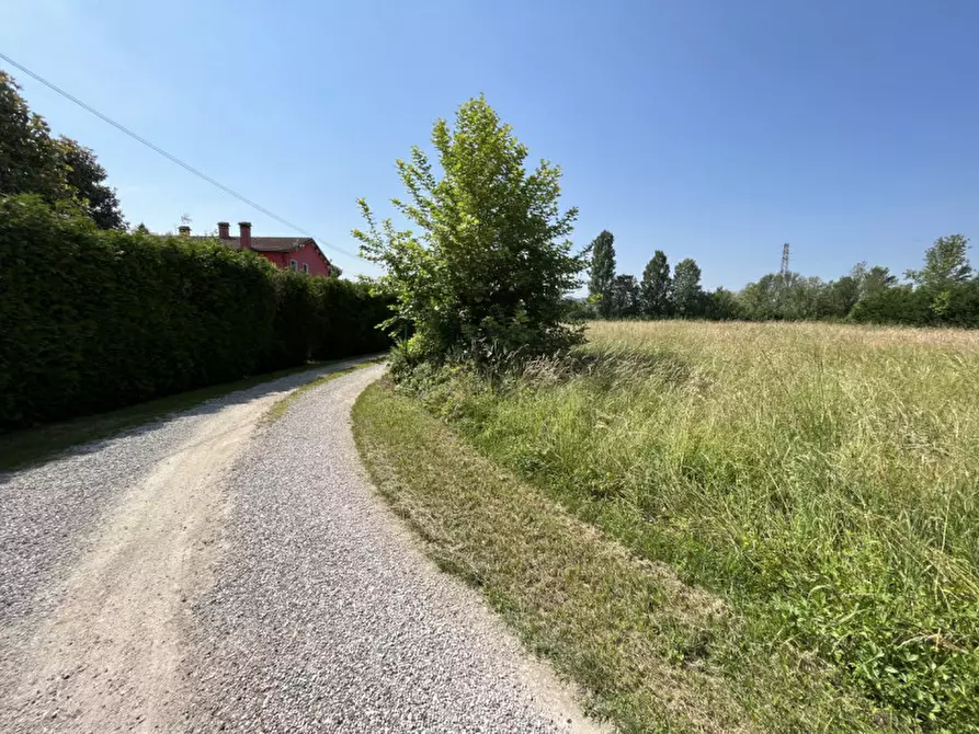 Immagine 4 di Terreno in vendita  in Via San Benedetto a Teolo