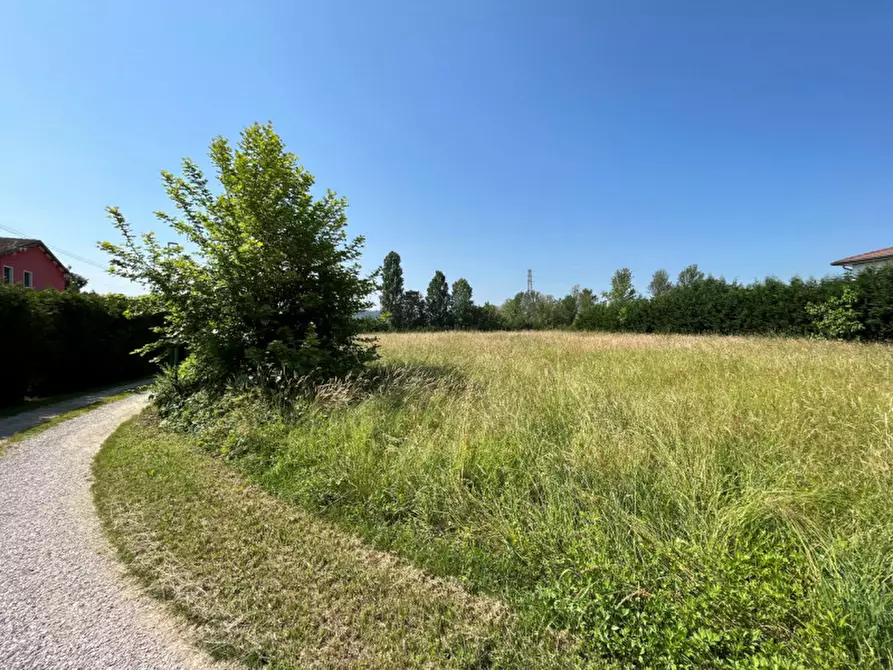 Immagine 5 di Terreno in vendita  in Via San Benedetto a Teolo