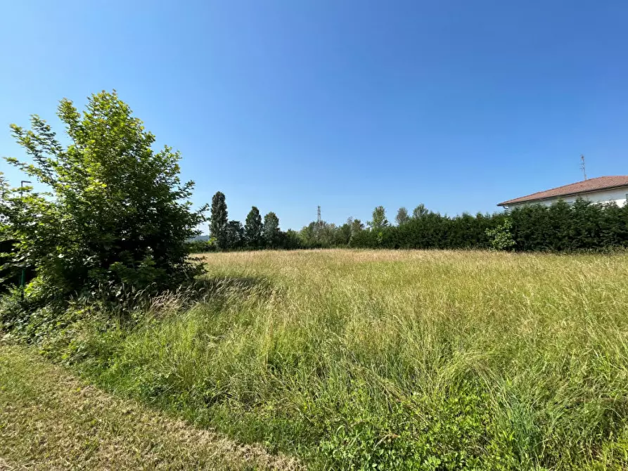 Immagine 6 di Terreno in vendita  in Via San Benedetto a Teolo