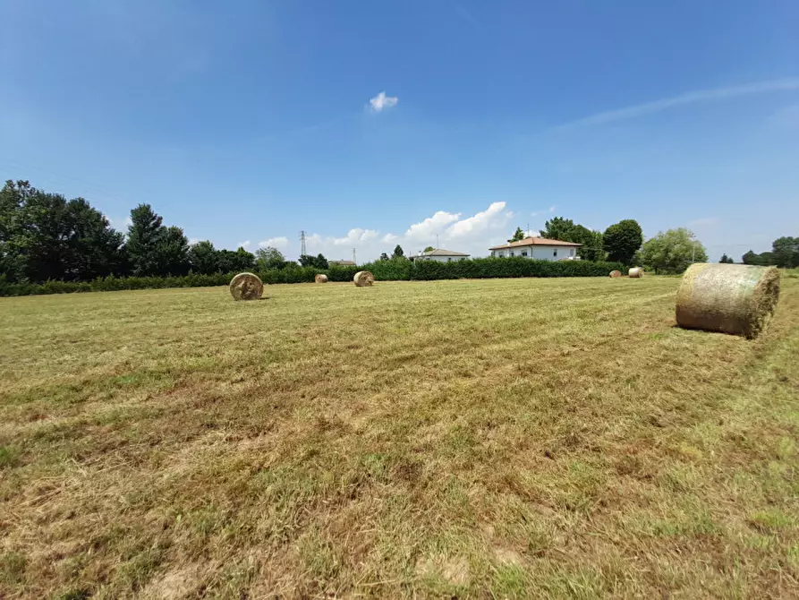 Immagine 7 di Terreno in vendita  in Via San Benedetto a Teolo