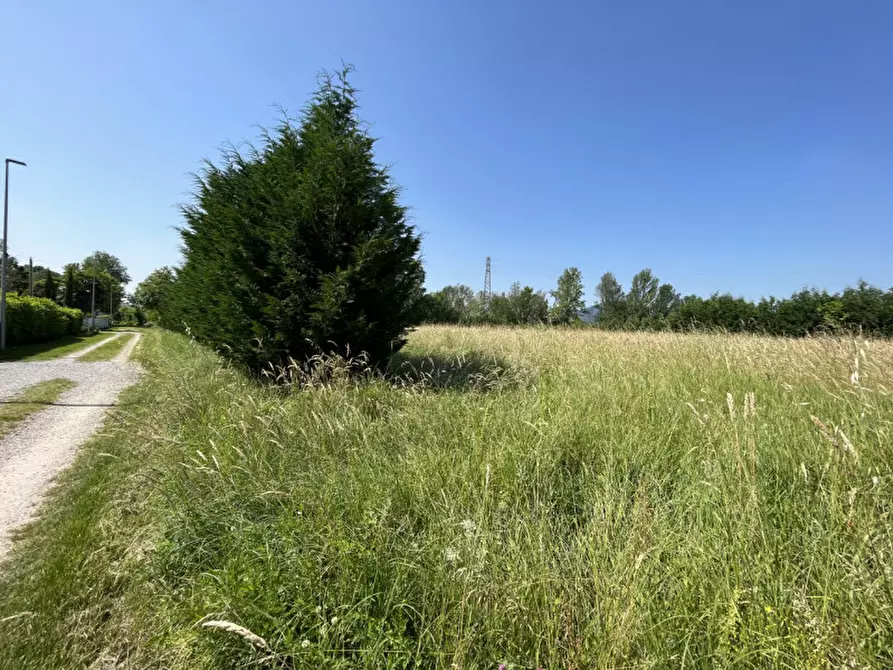 Immagine 9 di Terreno in vendita  in Via San Benedetto a Teolo