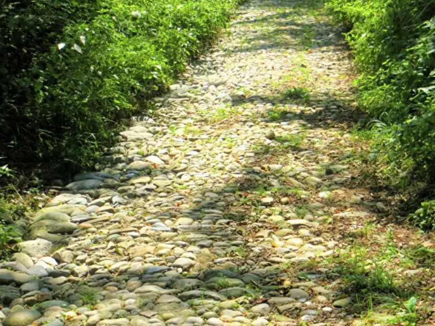 Immagine 2 di Terreno in vendita  in Frazione Buttello, N. snc a Valgreghentino