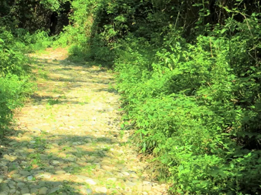 Immagine 4 di Terreno in vendita  in Frazione Buttello, N. snc a Valgreghentino