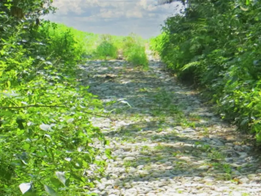 Immagine 6 di Terreno in vendita  in Frazione Buttello, N. snc a Valgreghentino