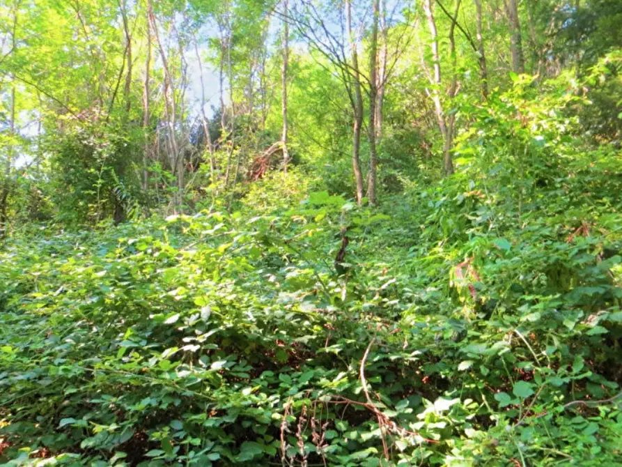 Immagine 2 di Terreno in vendita  in Frazione Buttello, N. snc a Valgreghentino