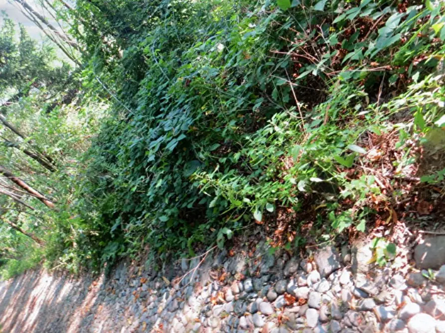 Immagine 4 di Terreno in vendita  in Frazione Buttello, N. snc a Valgreghentino