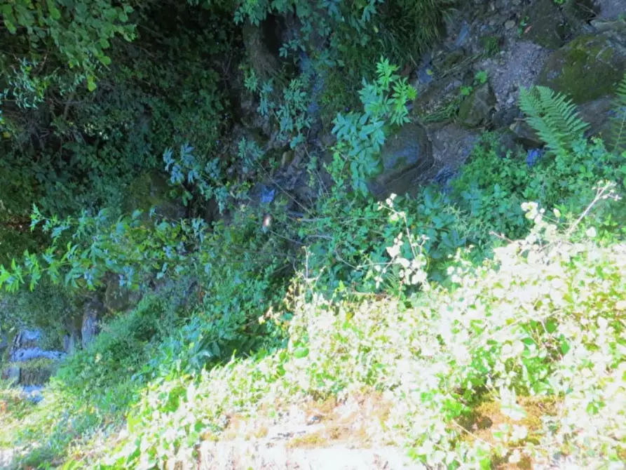 Immagine 8 di Terreno in vendita  in Frazione Buttello, N. snc a Valgreghentino