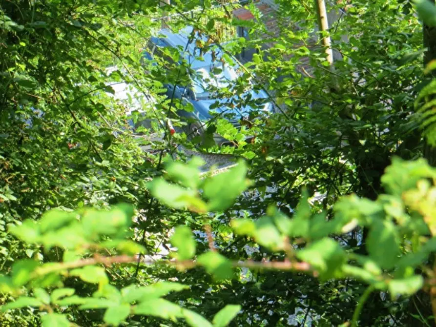 Immagine 9 di Terreno in vendita  in Frazione Buttello, N. snc a Valgreghentino