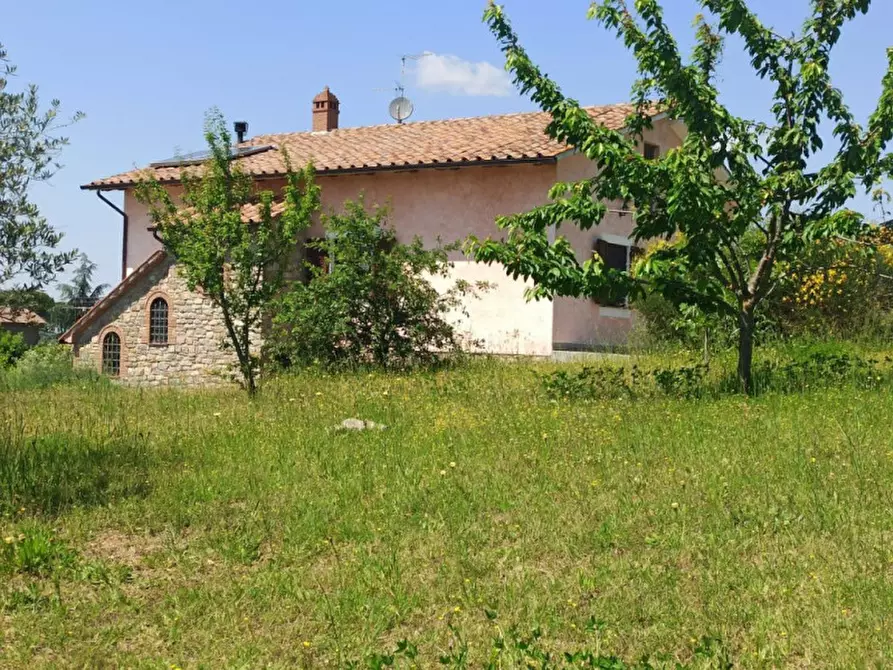 Immagine 31 di Rustico / casale in vendita  a Parrano