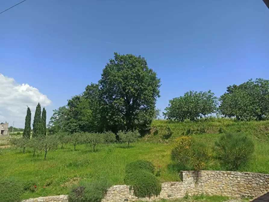 Immagine 32 di Rustico / casale in vendita  a Parrano