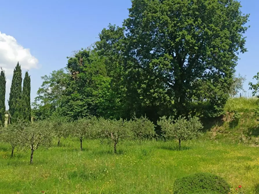 Immagine 33 di Rustico / casale in vendita  a Parrano
