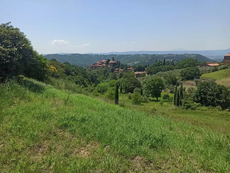 Immagine 34 di Rustico / casale in vendita  a Parrano
